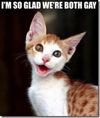cat_gay