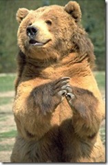 brown-bear-praying_4167_3